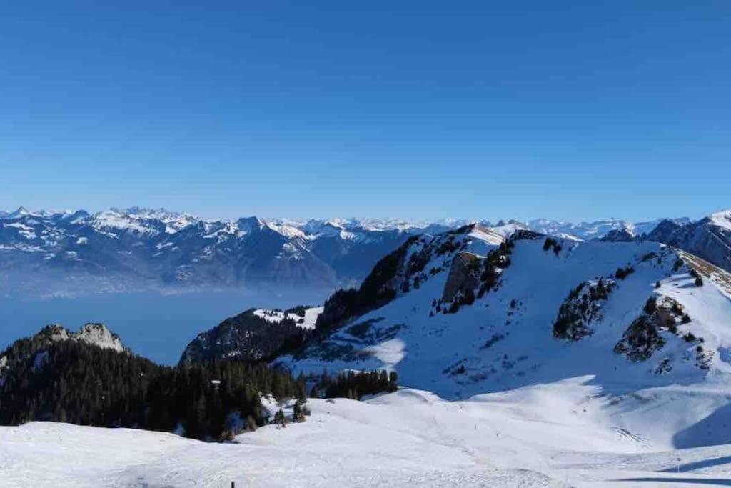 Studio Myrtilles Du Leman Vue Sur Lac Et Montagne Thollon-les-Memises Exteriér fotografie
