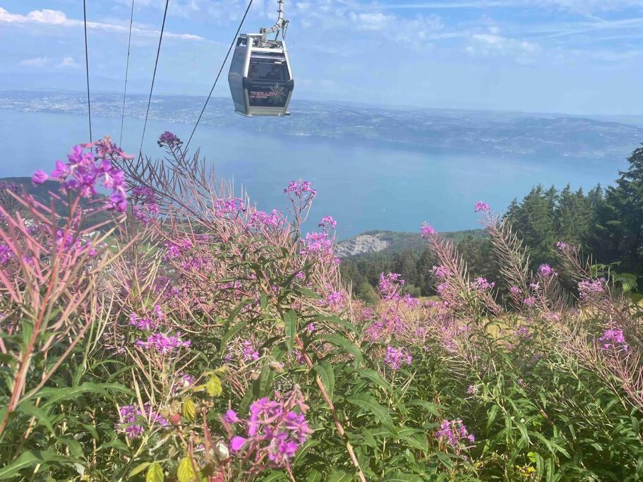 Studio Myrtilles Du Leman Vue Sur Lac Et Montagne Thollon-les-Memises Exteriér fotografie