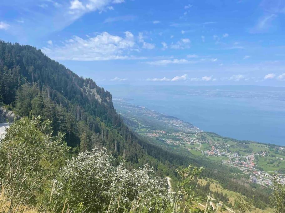 Studio Myrtilles Du Leman Vue Sur Lac Et Montagne Thollon-les-Memises Exteriér fotografie
